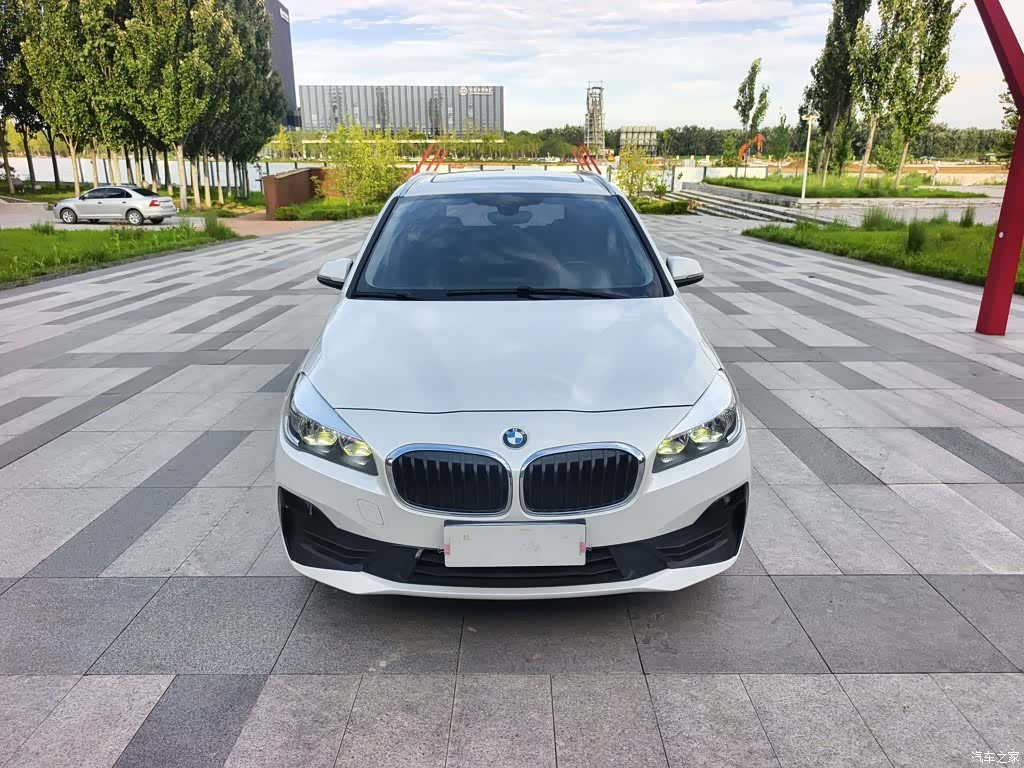 BMW 2 Series, 2019 13