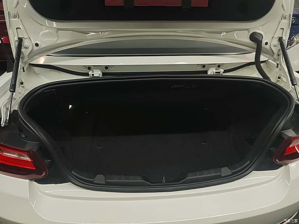 BMW 2 Series, 2016 19