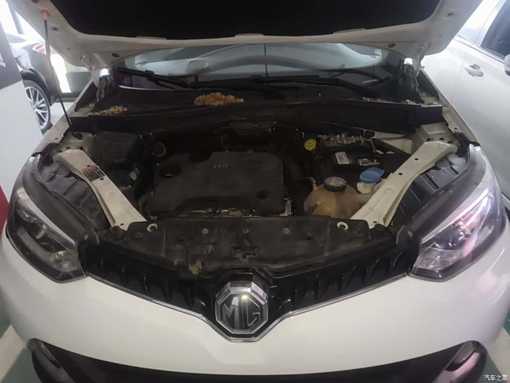 ShangQiJiTuan 1.5TGI, 2016 20