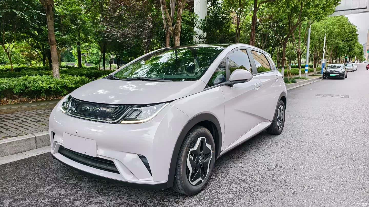 BYD Dolphin, 2022 1