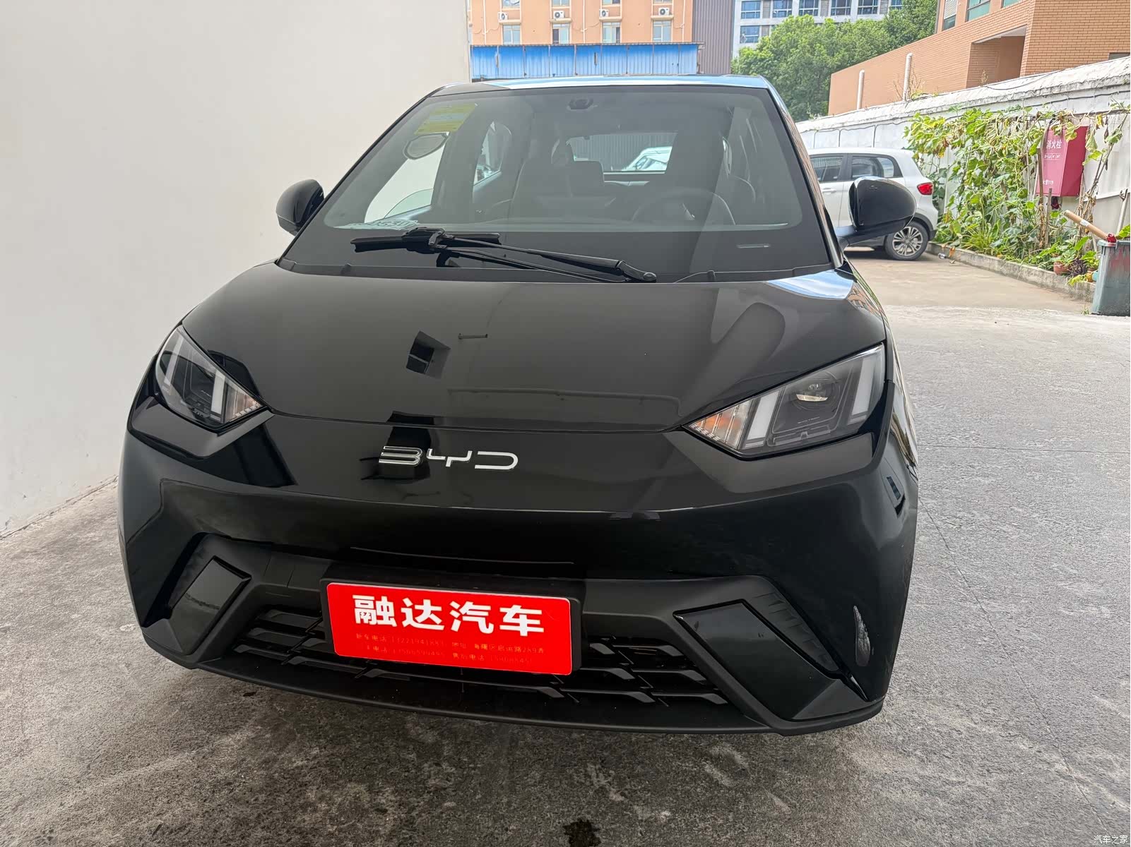 BYD Seagull, 2023 2