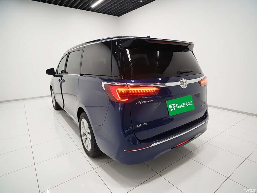 Buick GL8, 2021 все фото