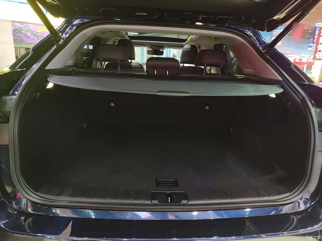 Lexus RX, 2022 15