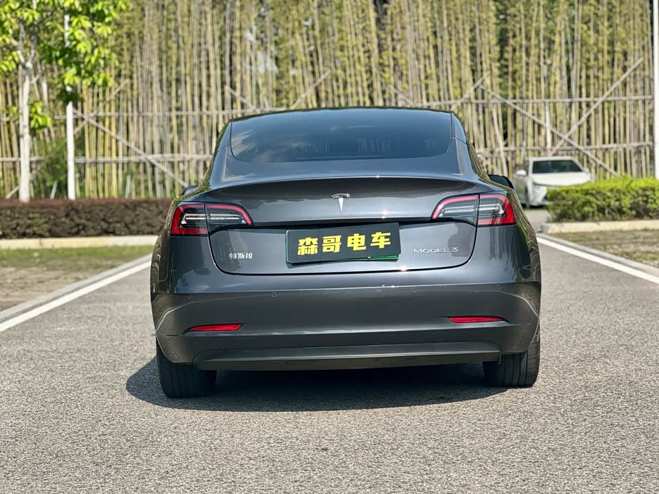 Tesla Model 3 Tesla Model 3