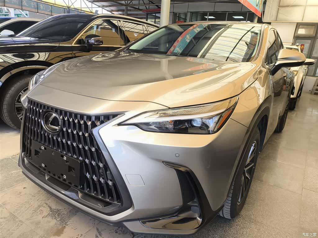 Lexus NX, 2023 2