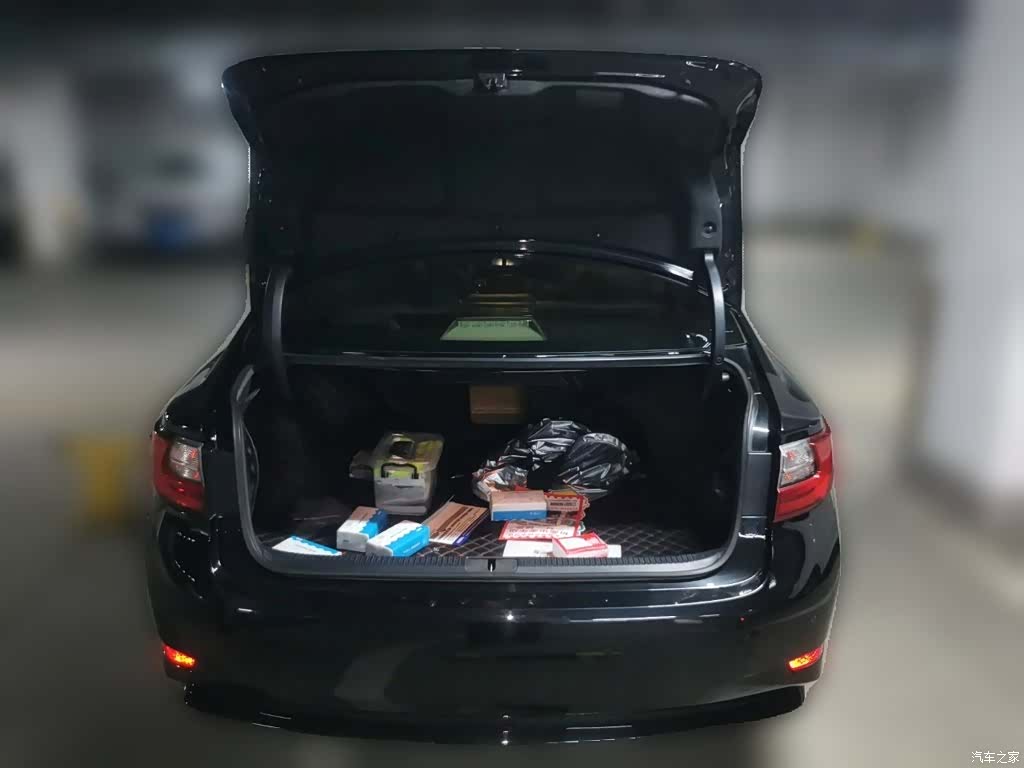 Lexus ES, 2017 10
