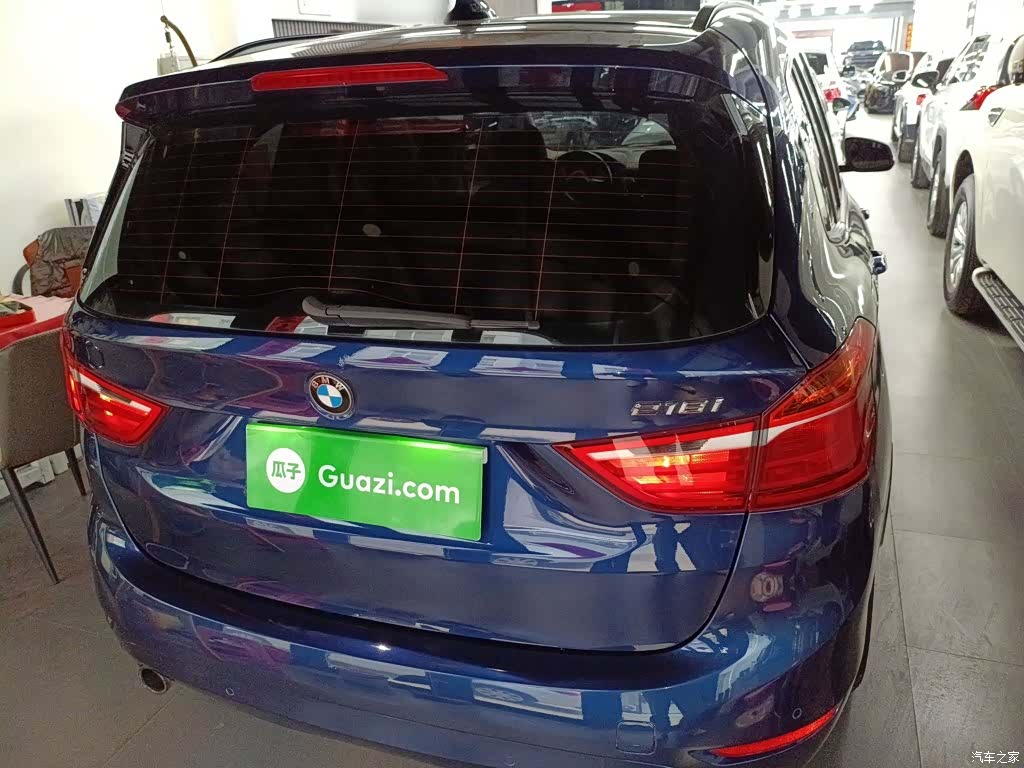 BMW 2 Series, 2017 6