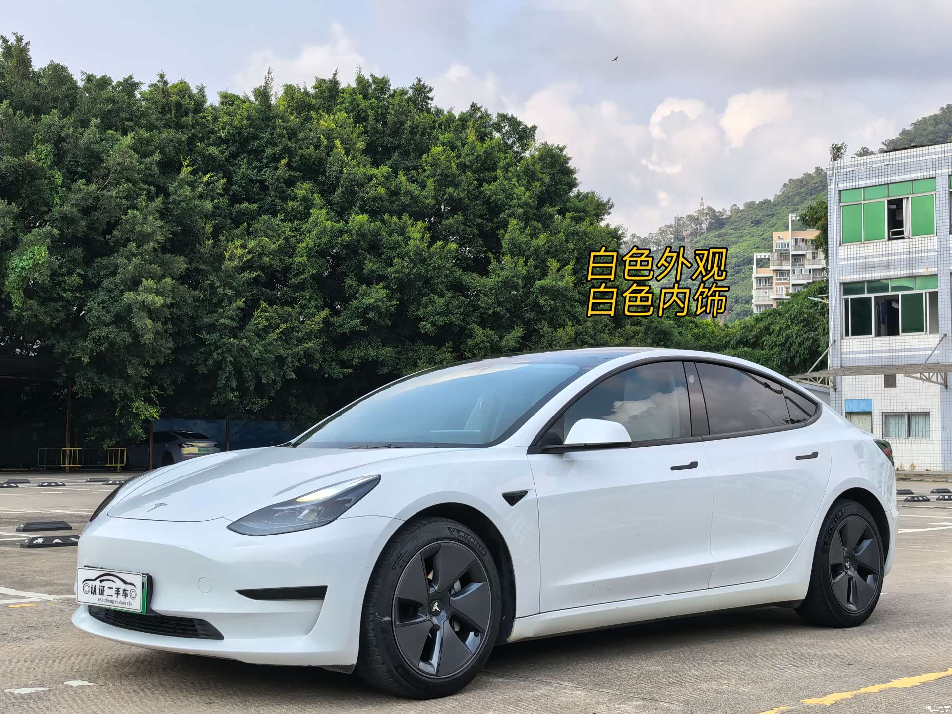 Tesla Model 3, 2021 1