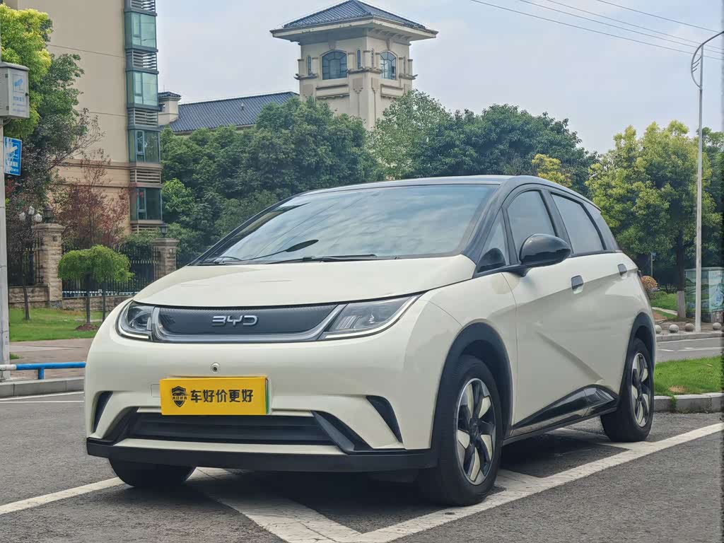 BYD Dolphin