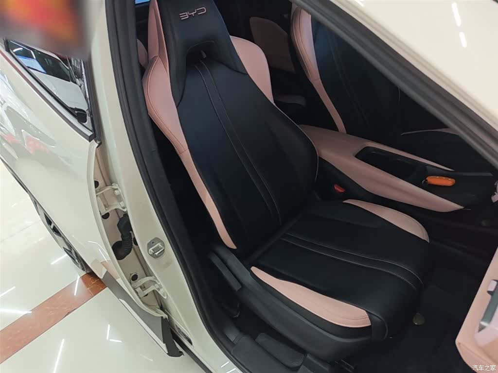 BYD Seagull, 2024 25