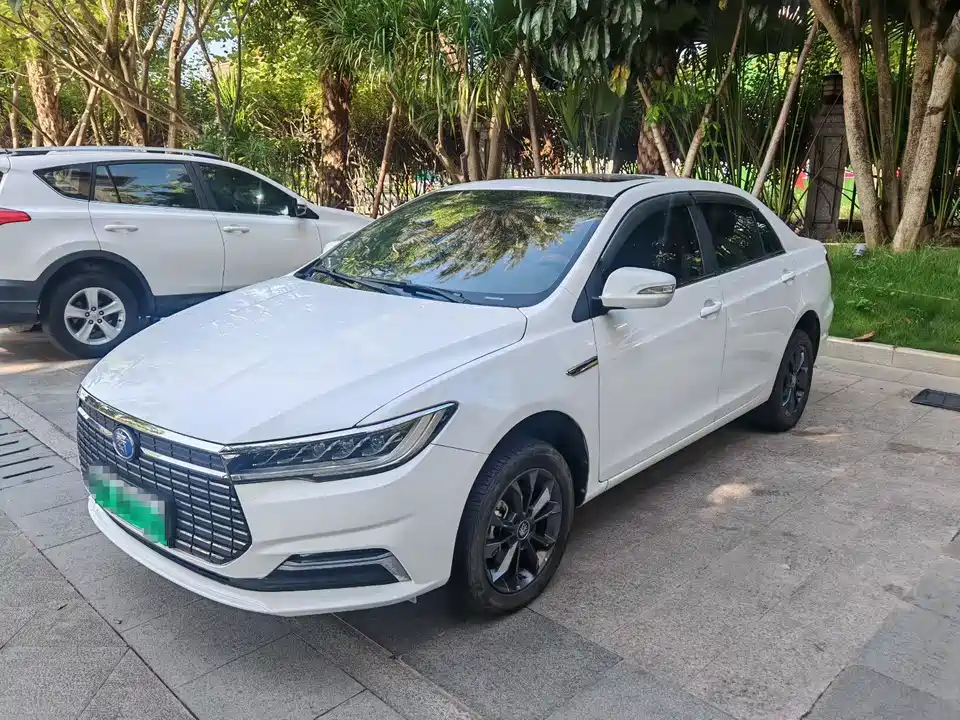 BYD Qinxin Energy