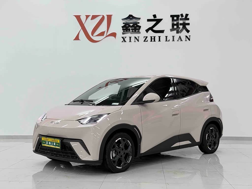 BYD Seagull