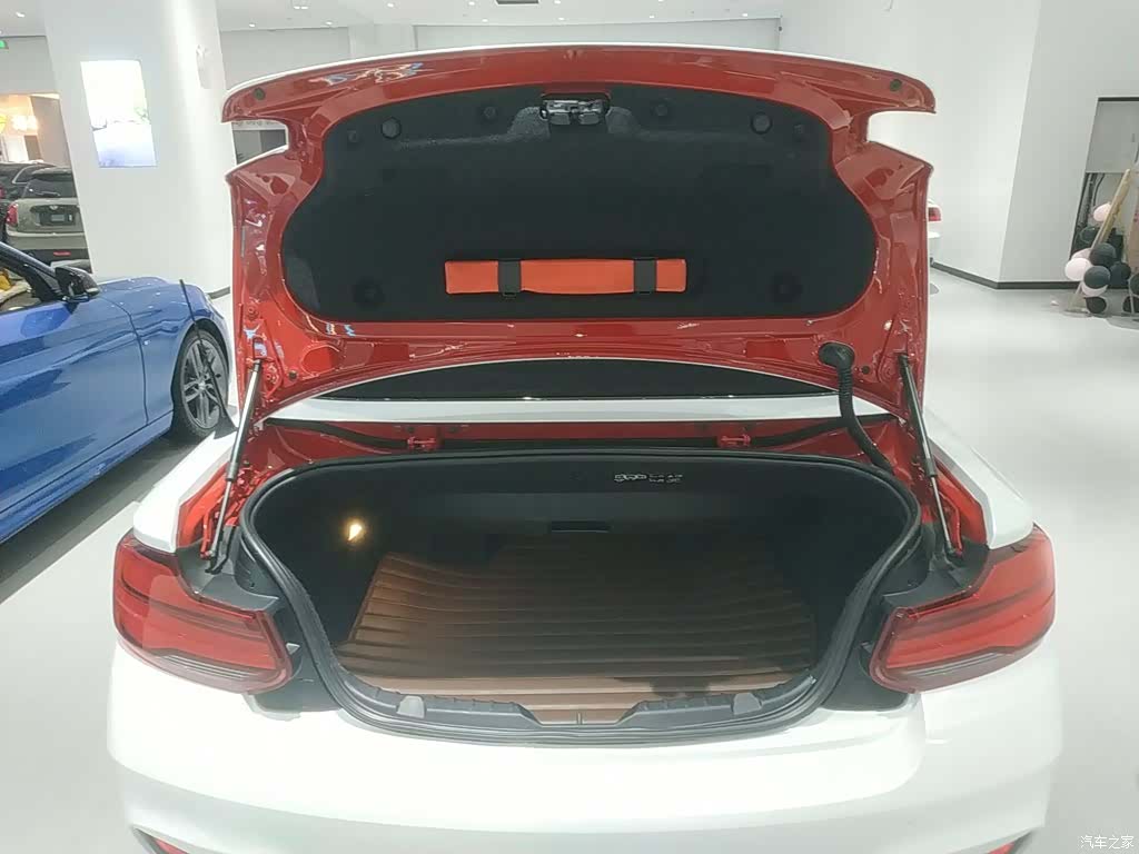 BMW 2 Series, 2018 15