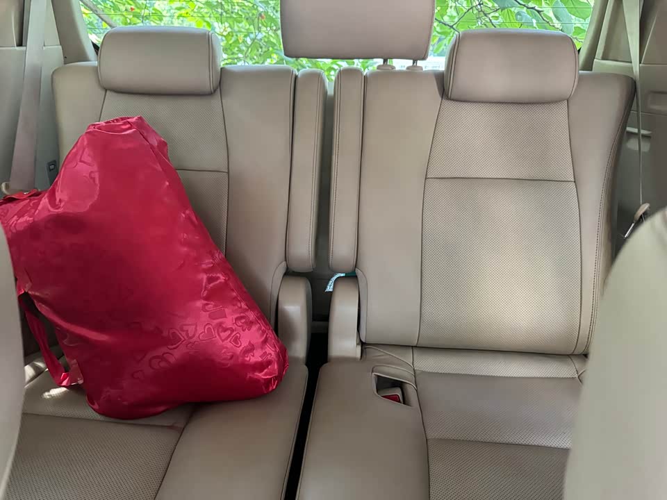 Toyota Elfa