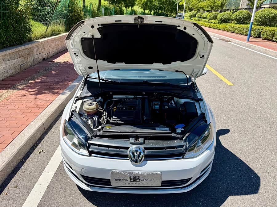 Volkswagen Golf 2014, фото 17
