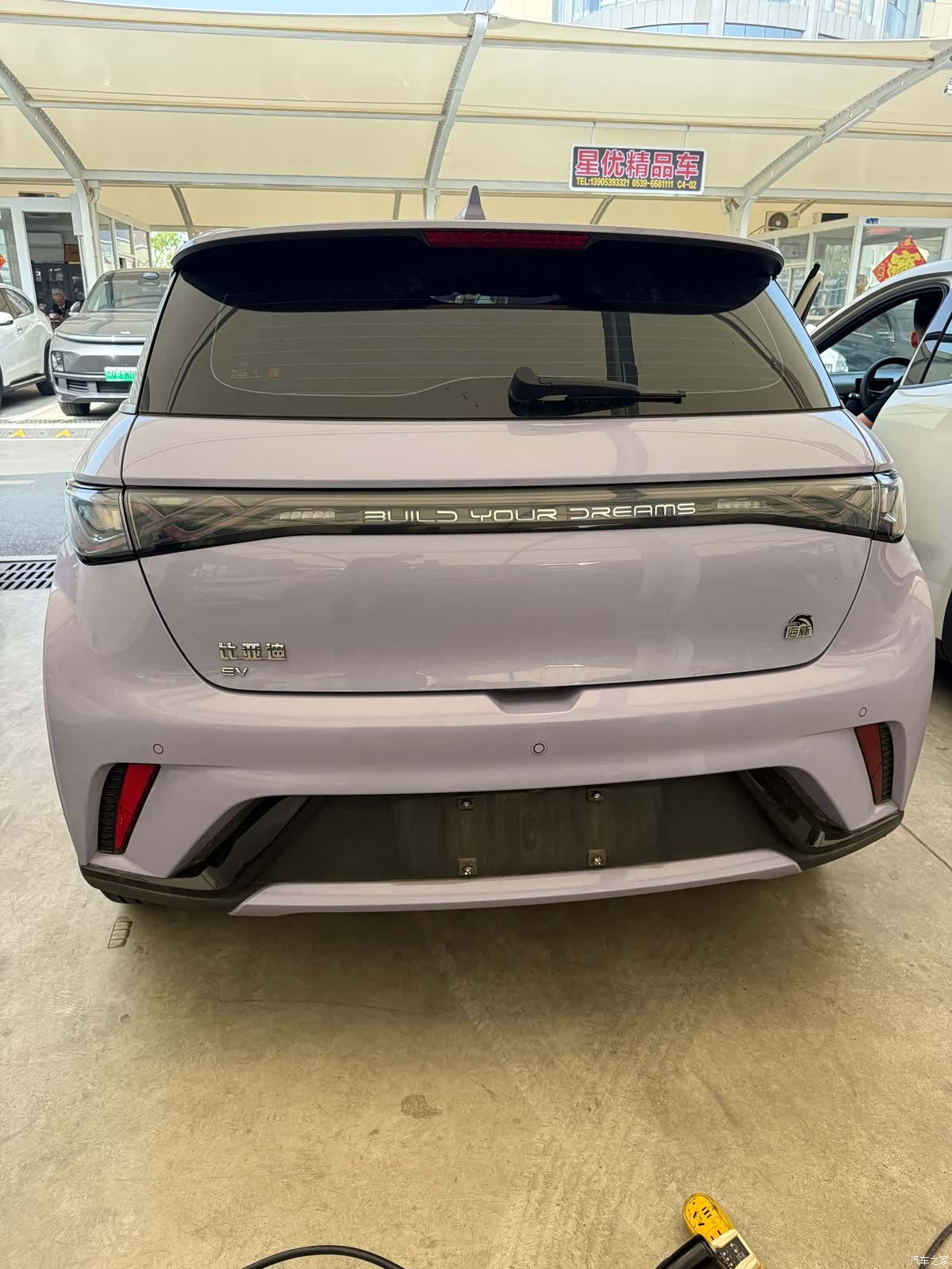 BYD Dolphin, 2024 8