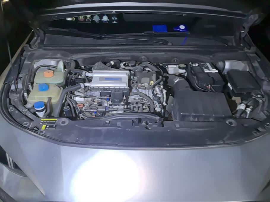 Trumpchi Shadow Leopard