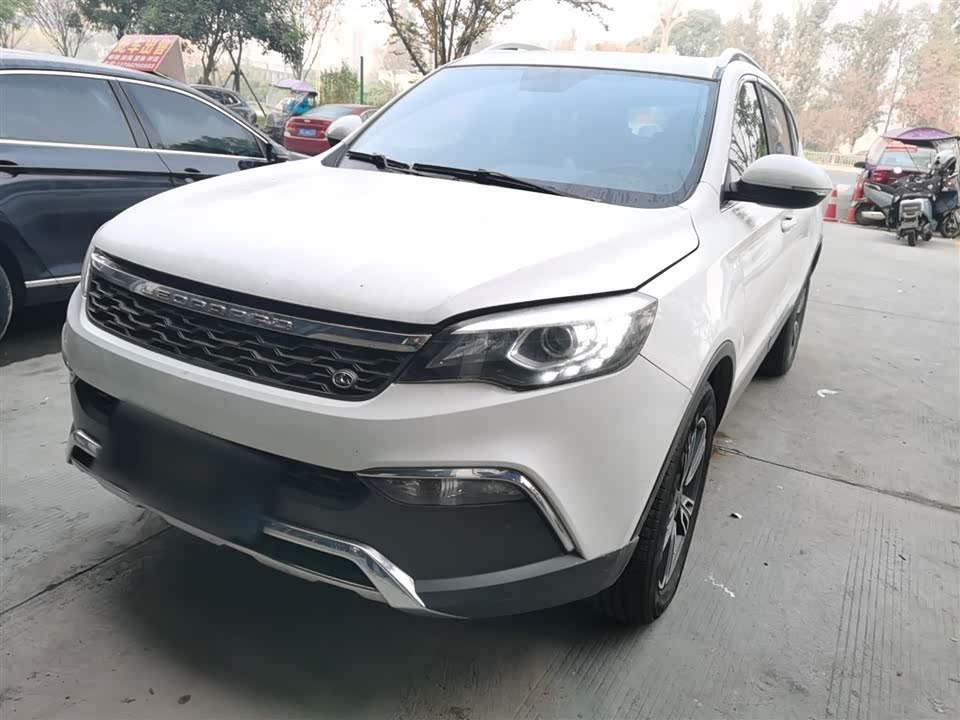 Leopaard Cheetah CS10