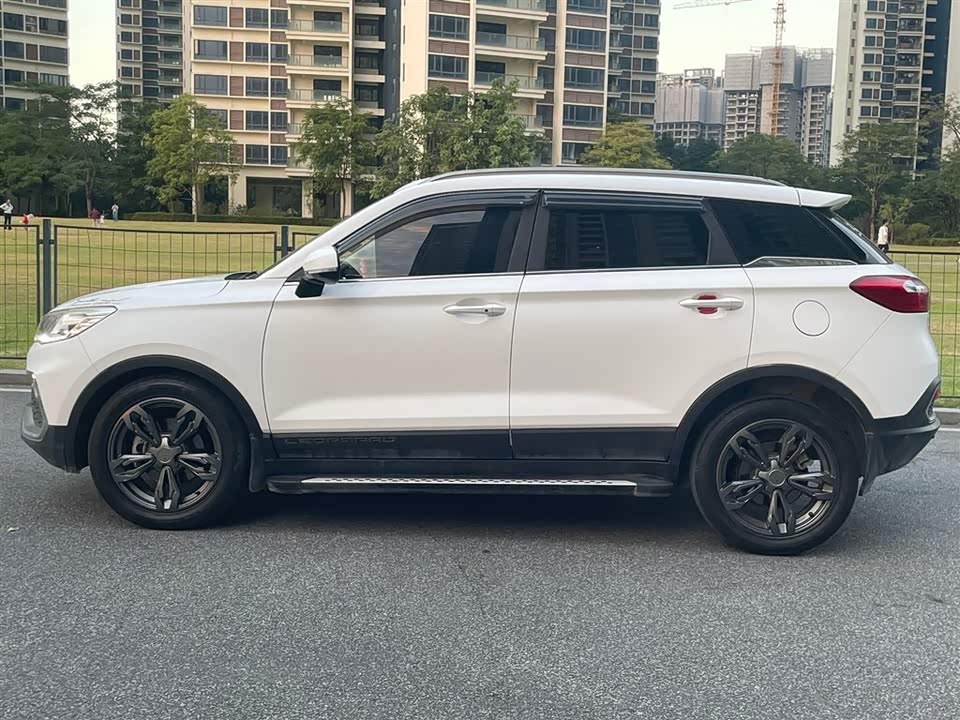 Leopaard Cheetah CS9