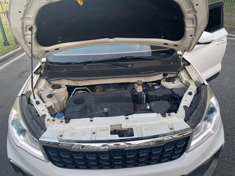 Leopaard Cheetah CS9