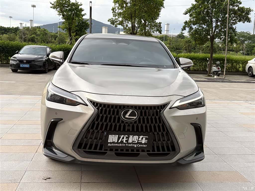 Lexus NX, 2024 2