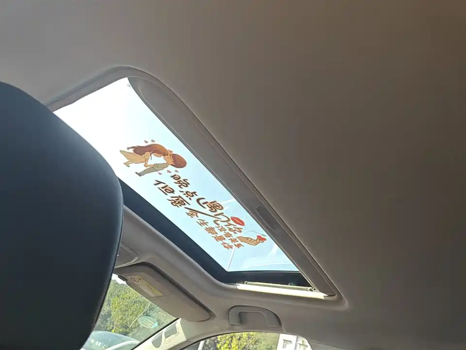 Leopaard Cheetah CS10