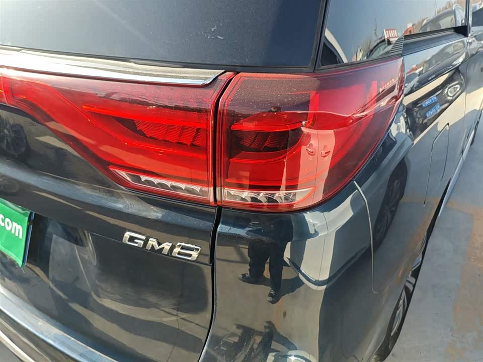 Trumpchi Trumpchi M8