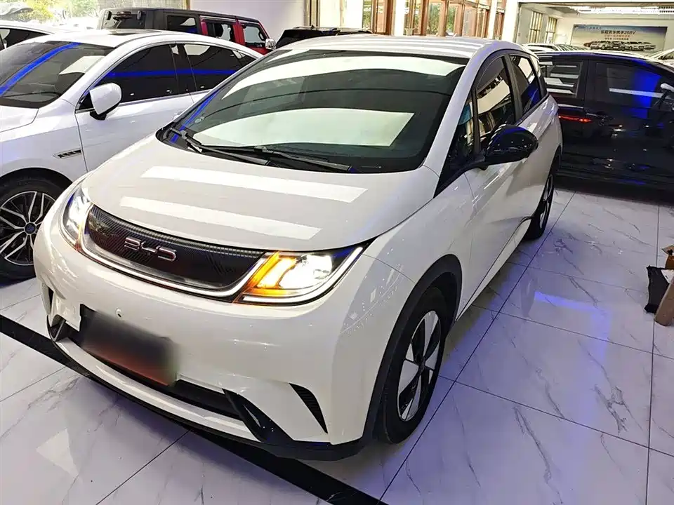 BYD dolphin