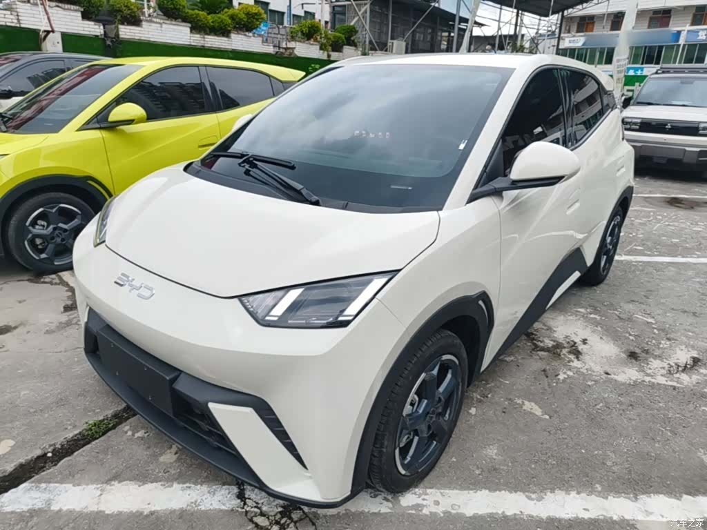 BYD Seagull, 2024 2