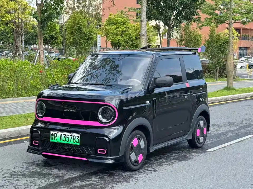 Geely Galaxy panda