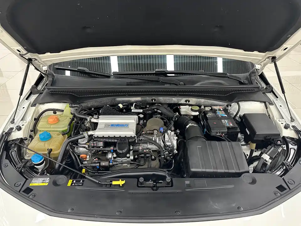 Trumpchi Shadow Leopard