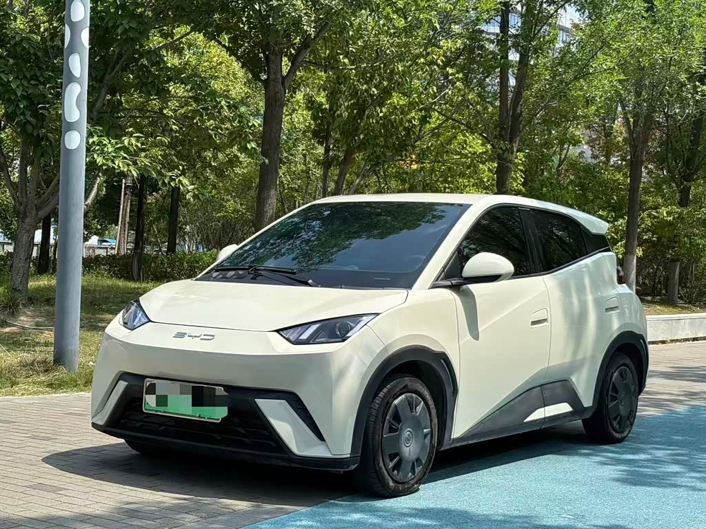 BYD Dolphin