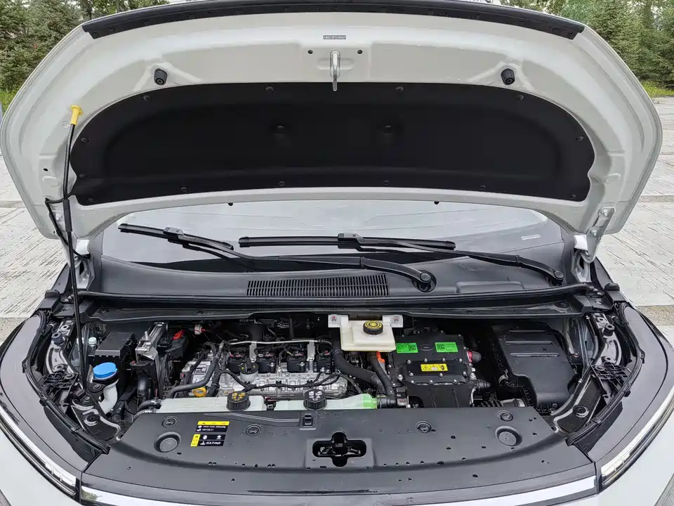 Trumpchi Trumpchi E8