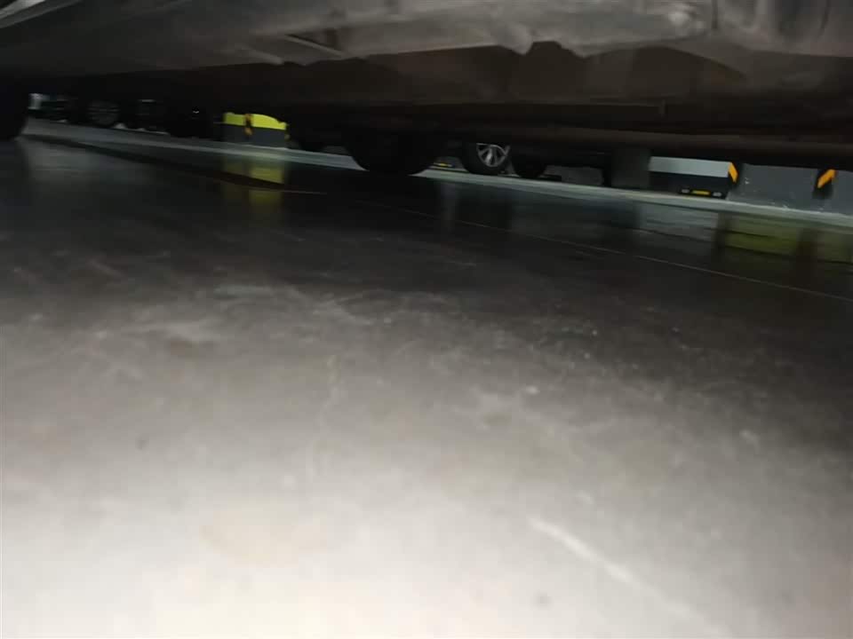 Trumpchi Shadow Leopard