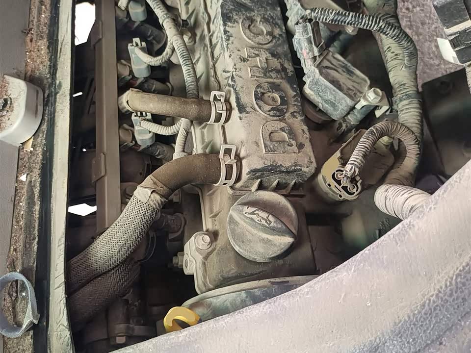 Jinbei New Sea Lion X30L