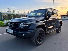 ̹��300 2025�� 2.0T ����������