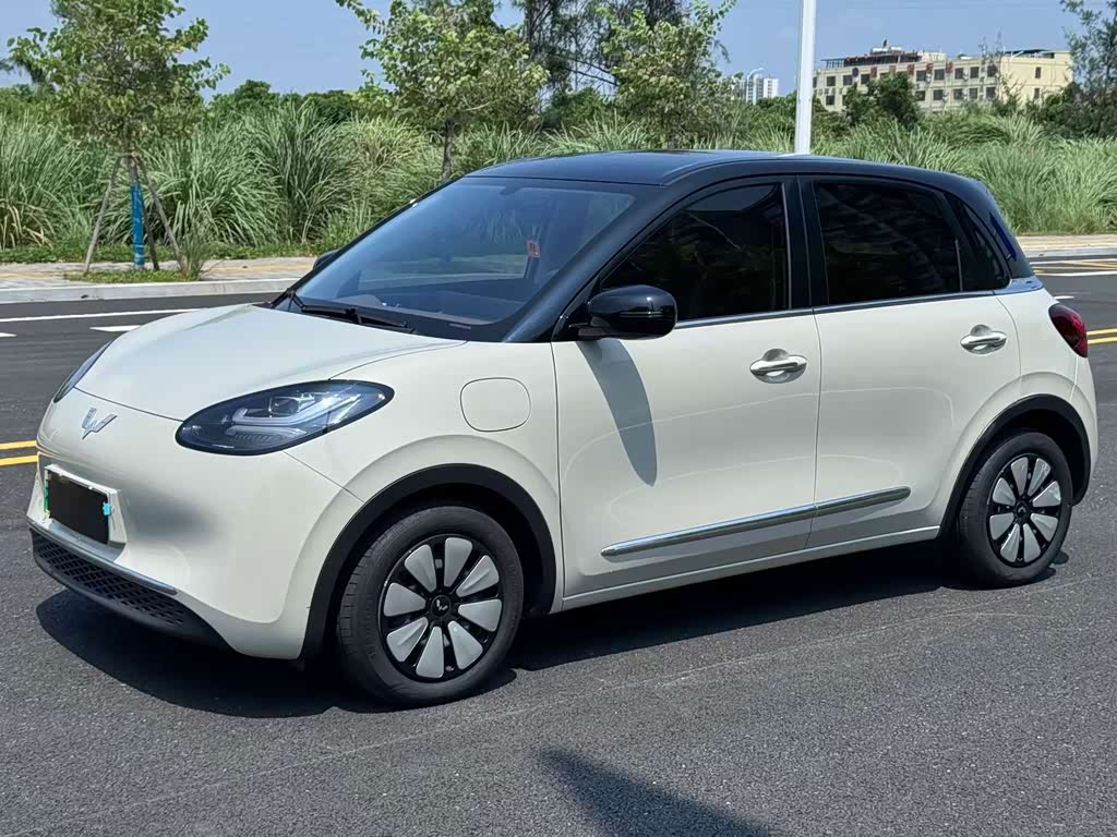 Wuling Binguo