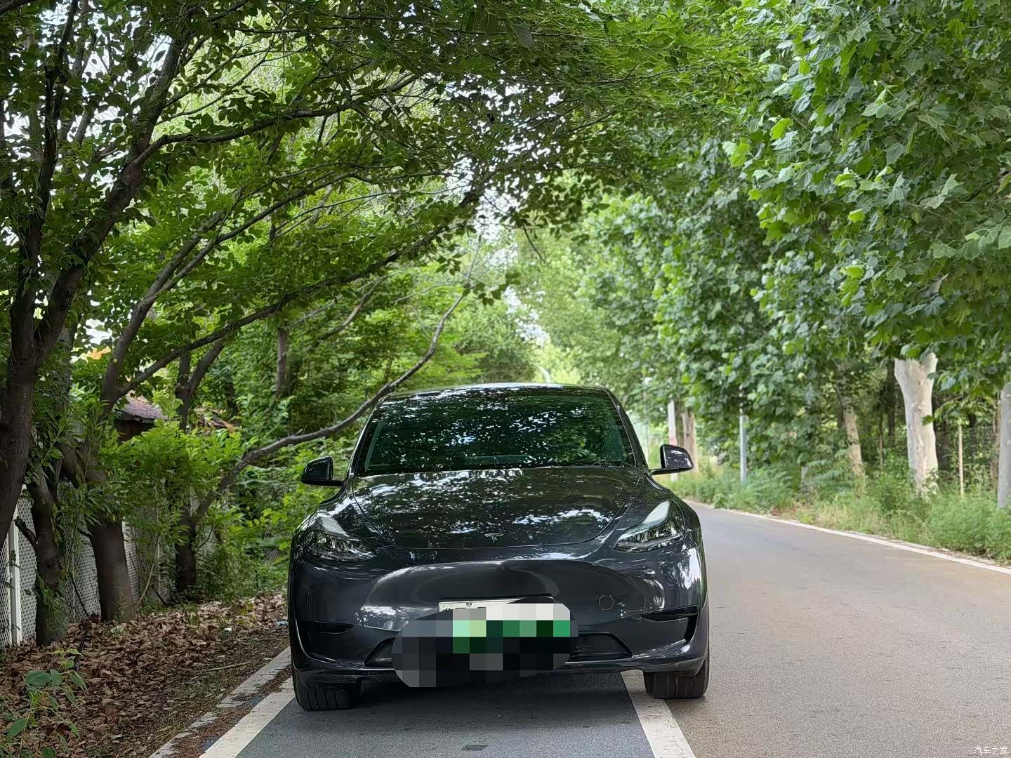 Tesla Model Y, 2024 2