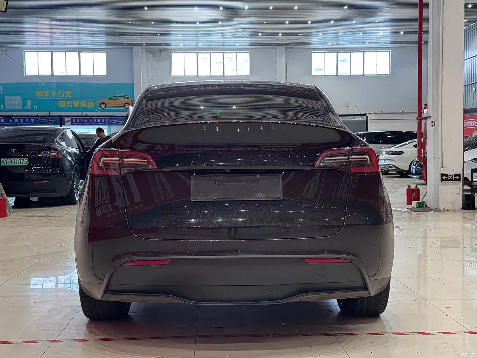 Tesla Model Y, 2024 все фото