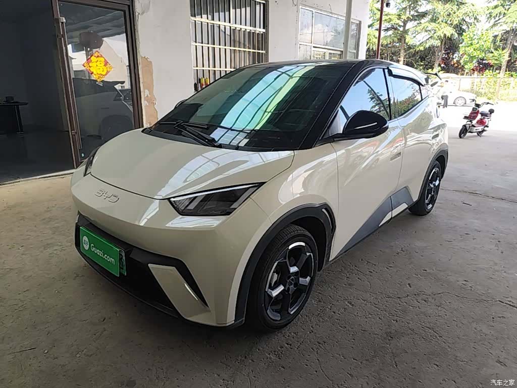 BYD Seagull, 2024 2