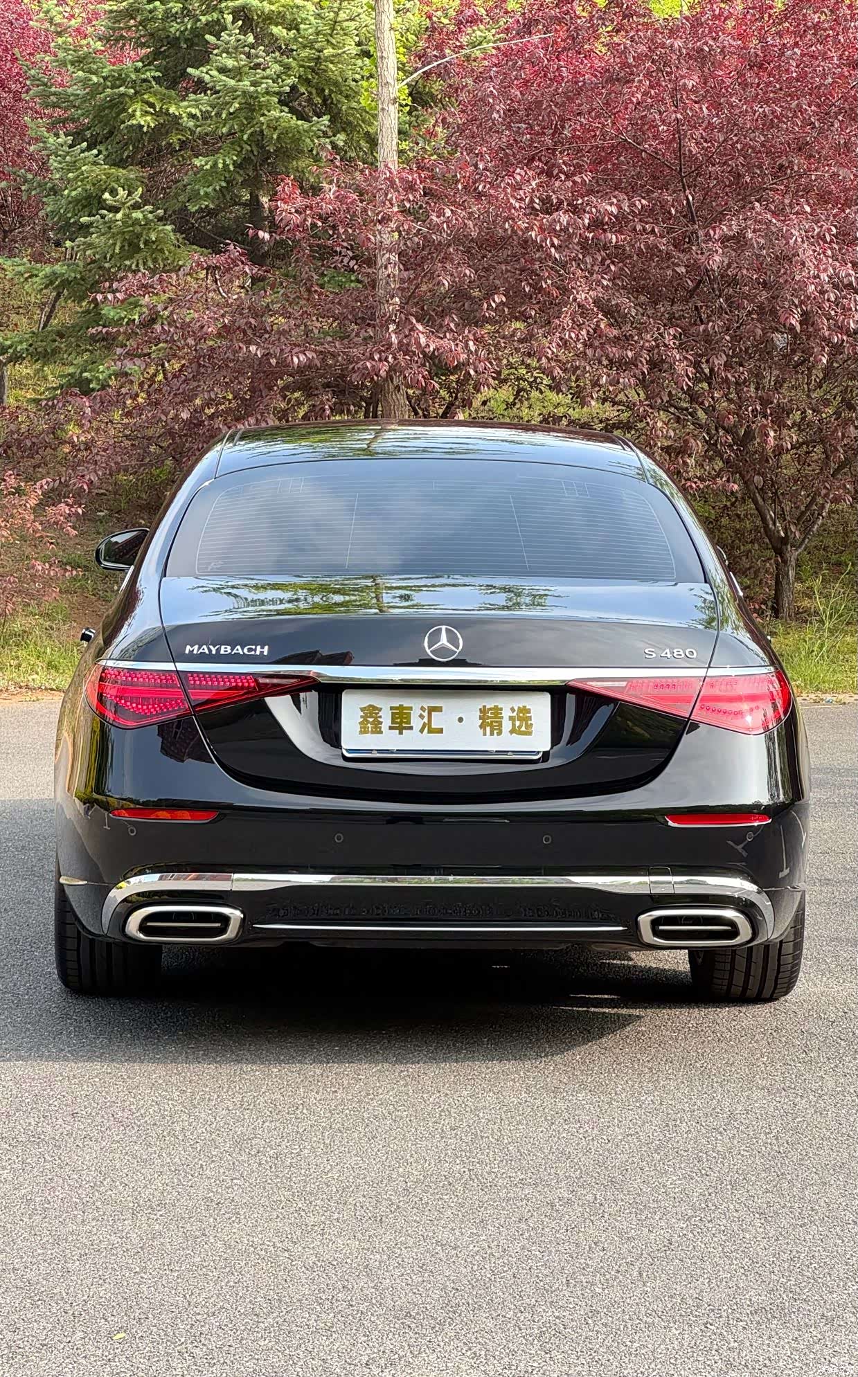 Maybach S-Class, 2021 7