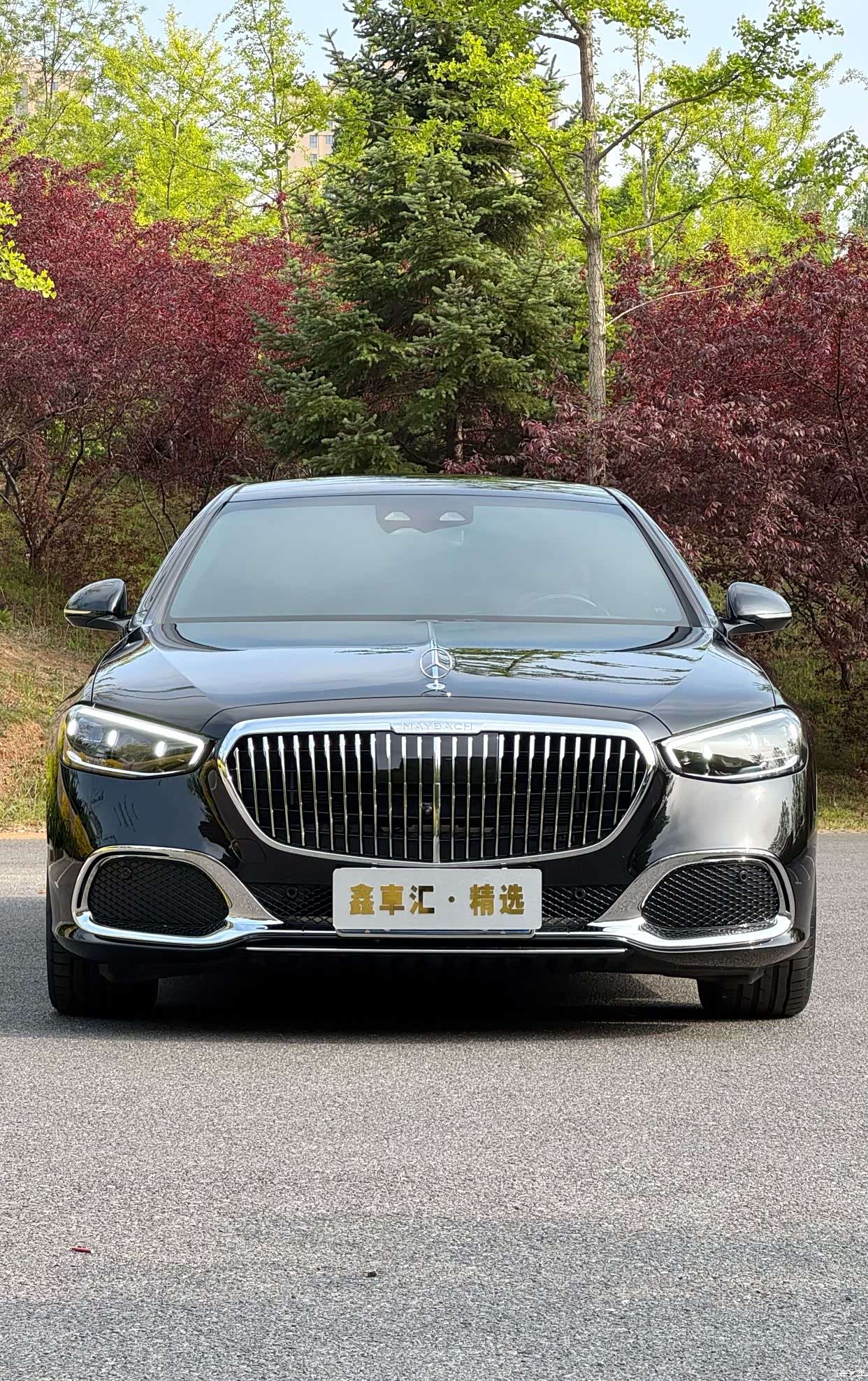 Maybach S-Class, 2021 2
