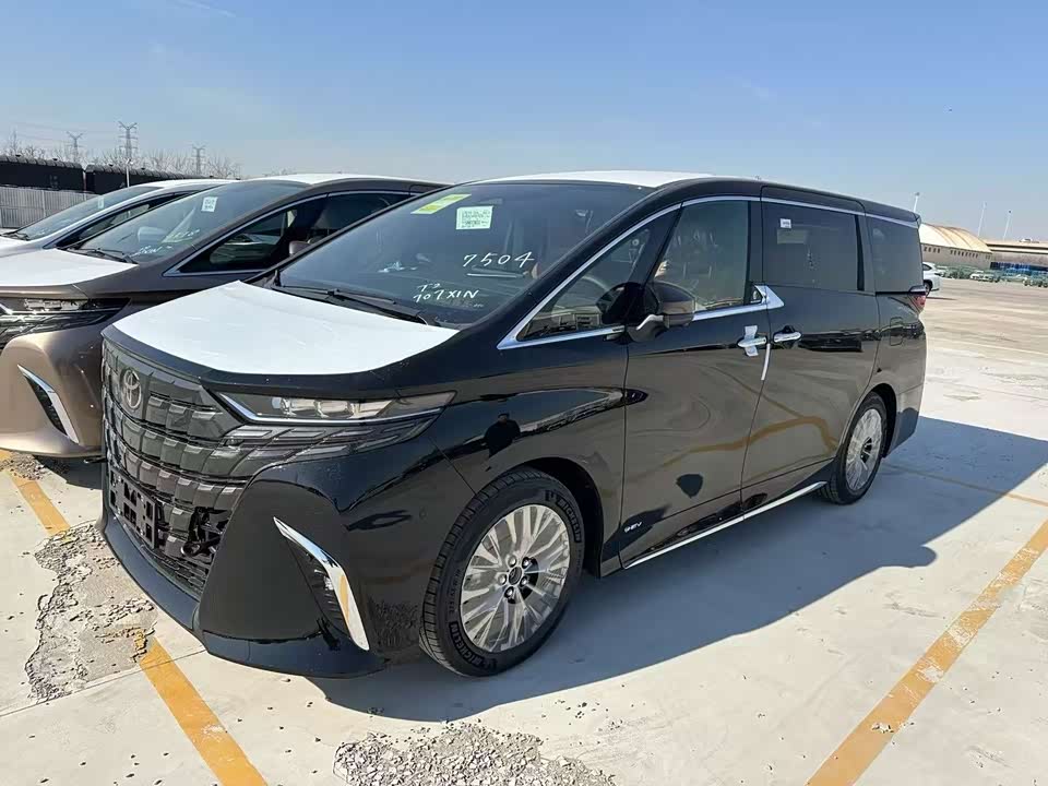 Toyota Elfa