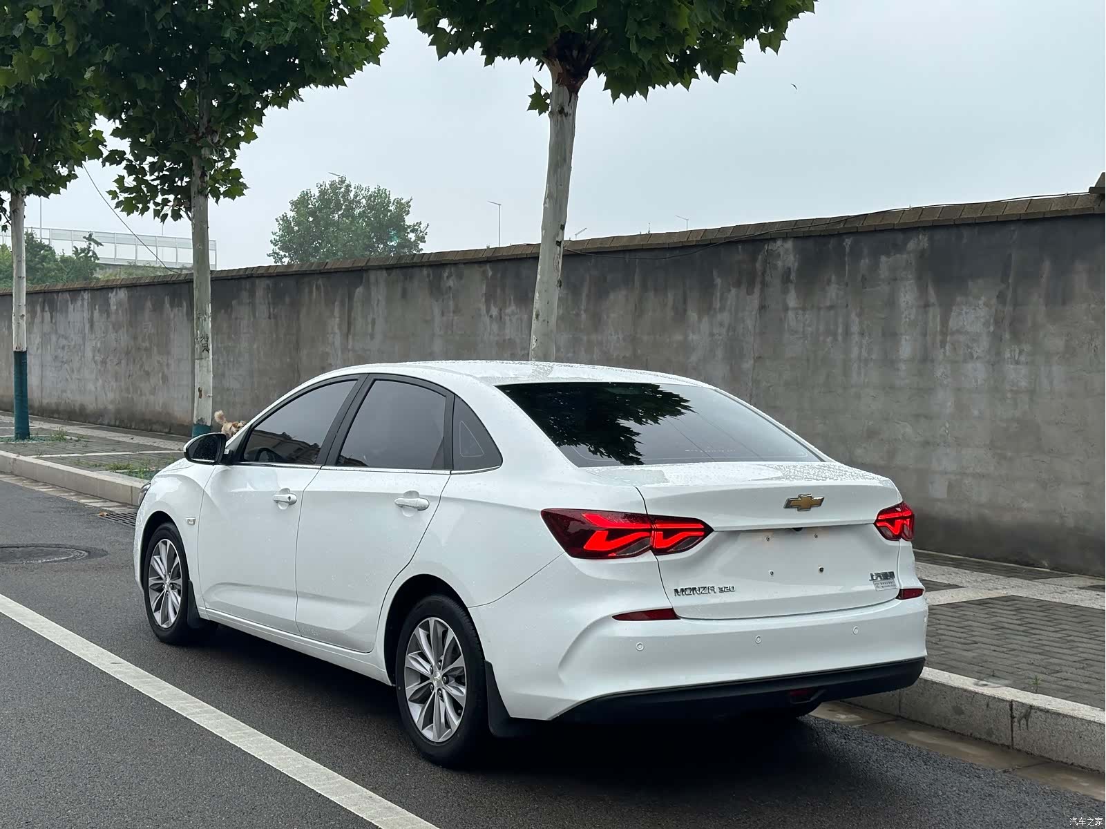 Chevrolet 320, 2021 6