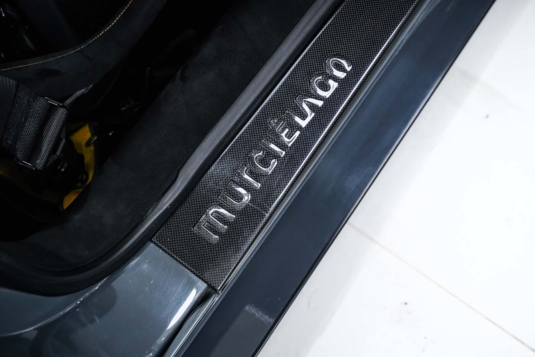 Murcielago LP, 2010 19