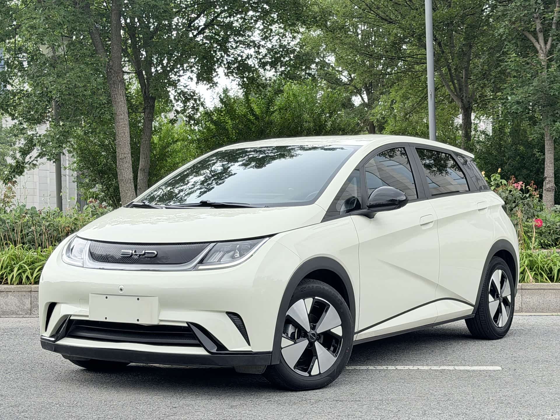 BYD Dolphin, 2023 1