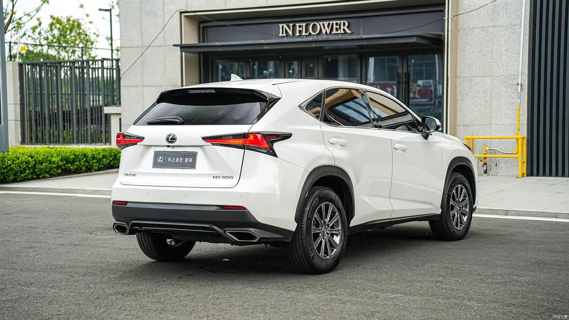 Lexus NX, 2018 4