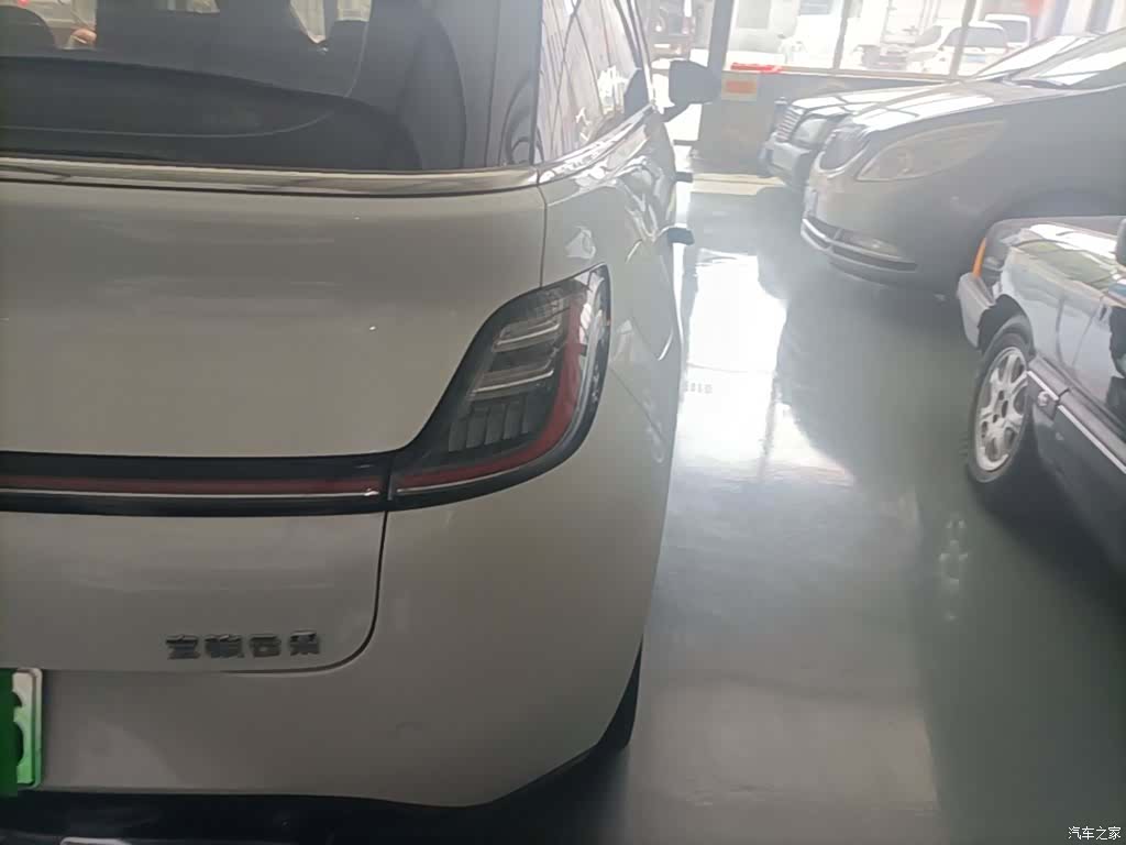 Wuling 460, 2023 8