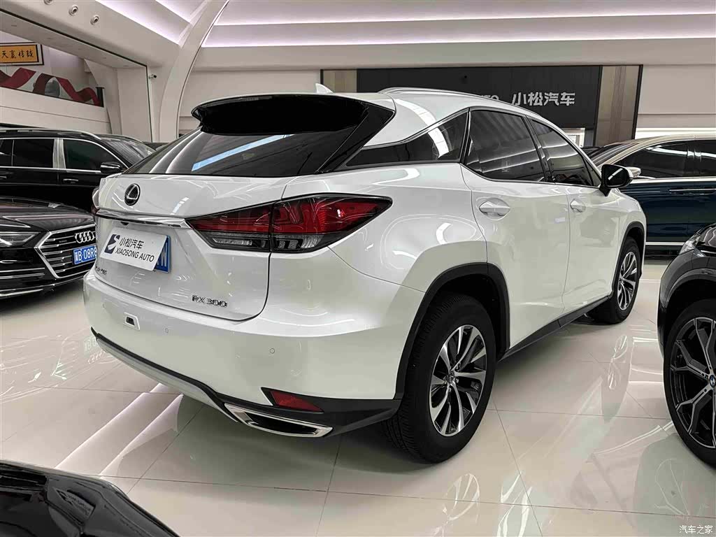 Lexus RX, 2021 21