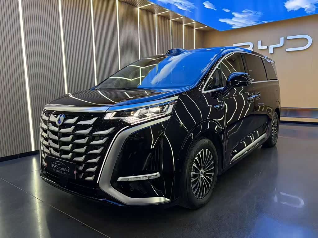 Denza D9